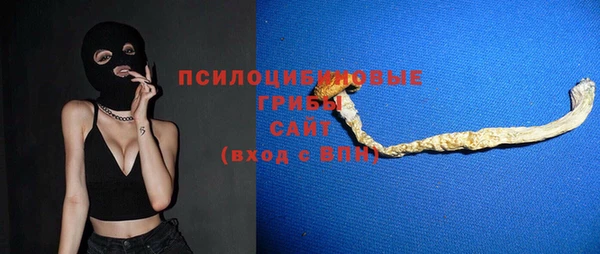 соль ск Верея