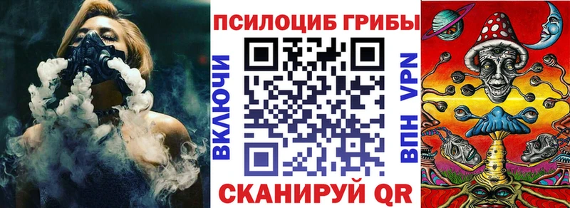 Галлюциногенные грибы Psilocybe  Волоколамск 